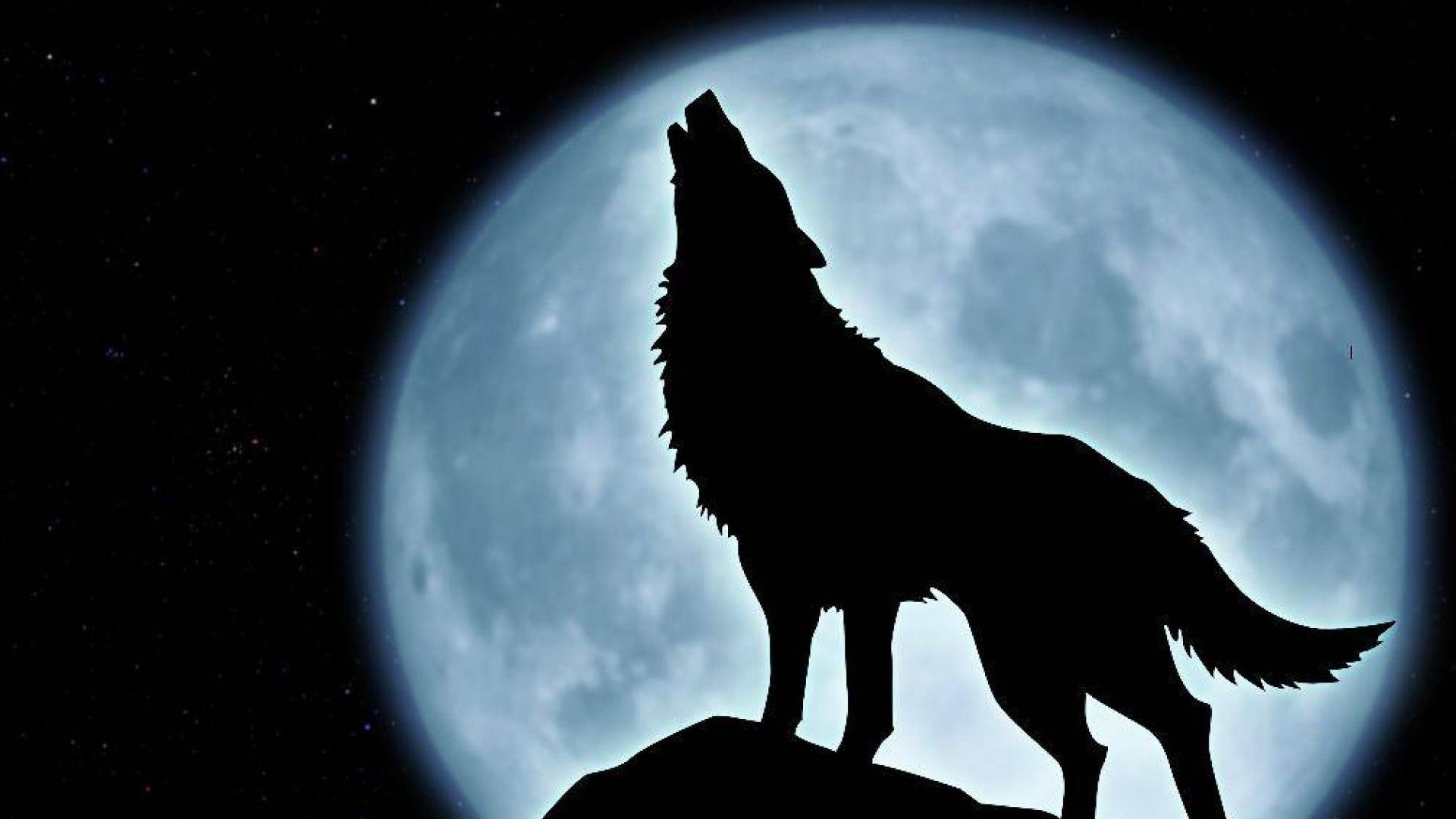 BOZKURT TÜRKLÜĞÜN SEMBOLÜDÜR!