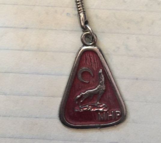 “TURAN ÇİÇEKLERİNİ, BİZLER DEREN OLURUZ”