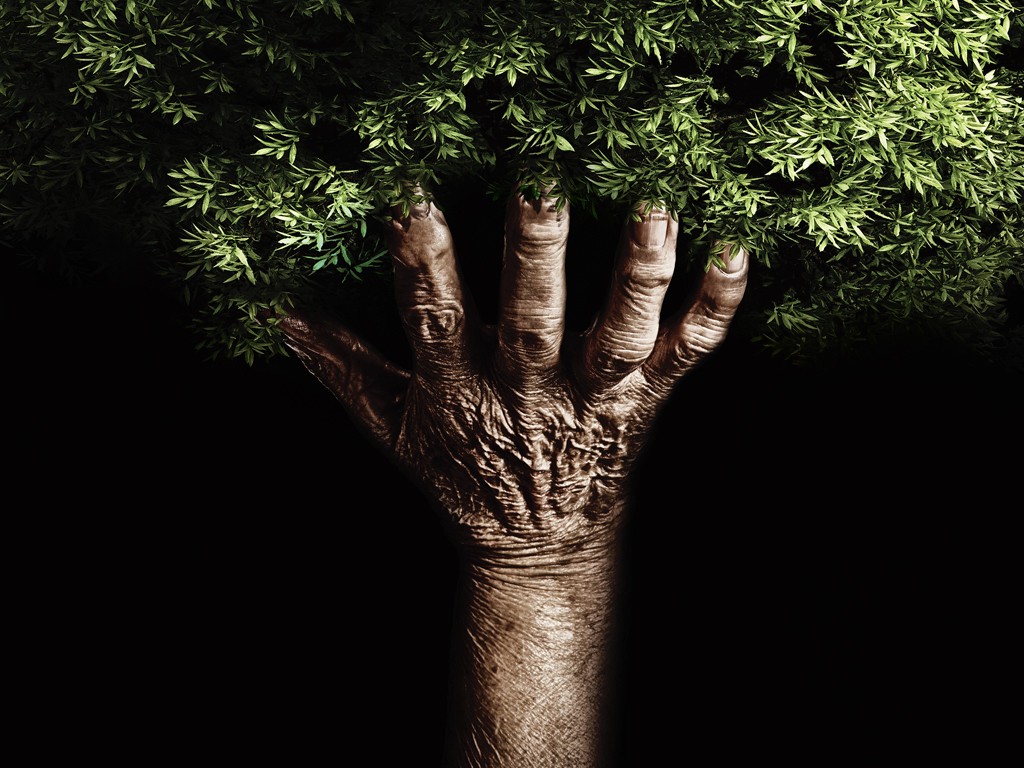 İNSANIN İSTİSMAR GÜCÜ NEREDEN GELMEKTEDİR?